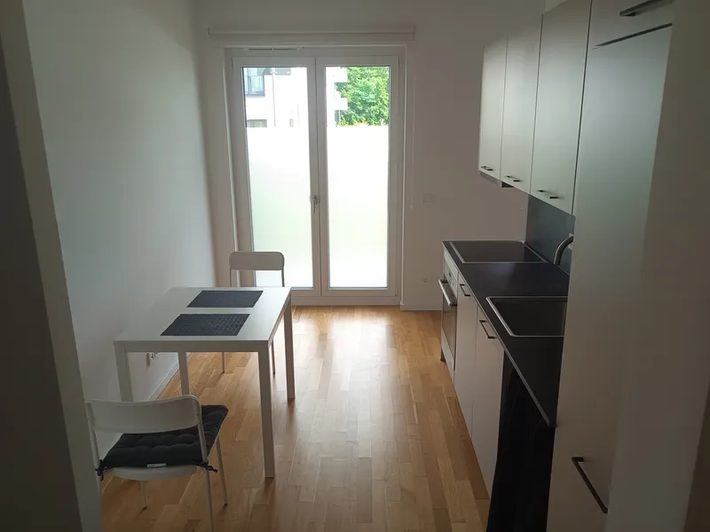 Neubau Einzimmerwohnung mit Terrasse — photo 1